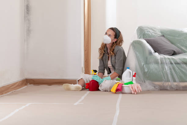 Reliable Commercial Mold Remediation contractor in East Boston, MA by WQB Mold Removal